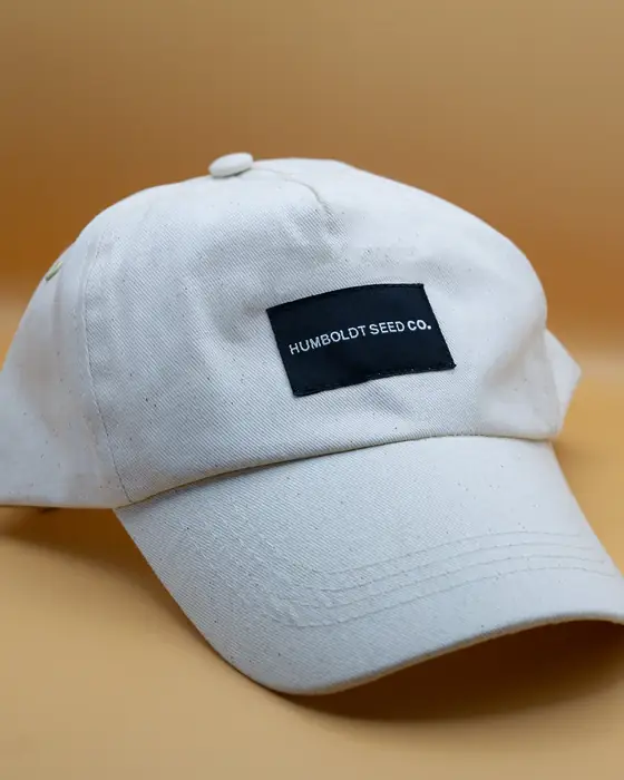 Gorra blanca con etiqueta tejida negra cosida en el frontal